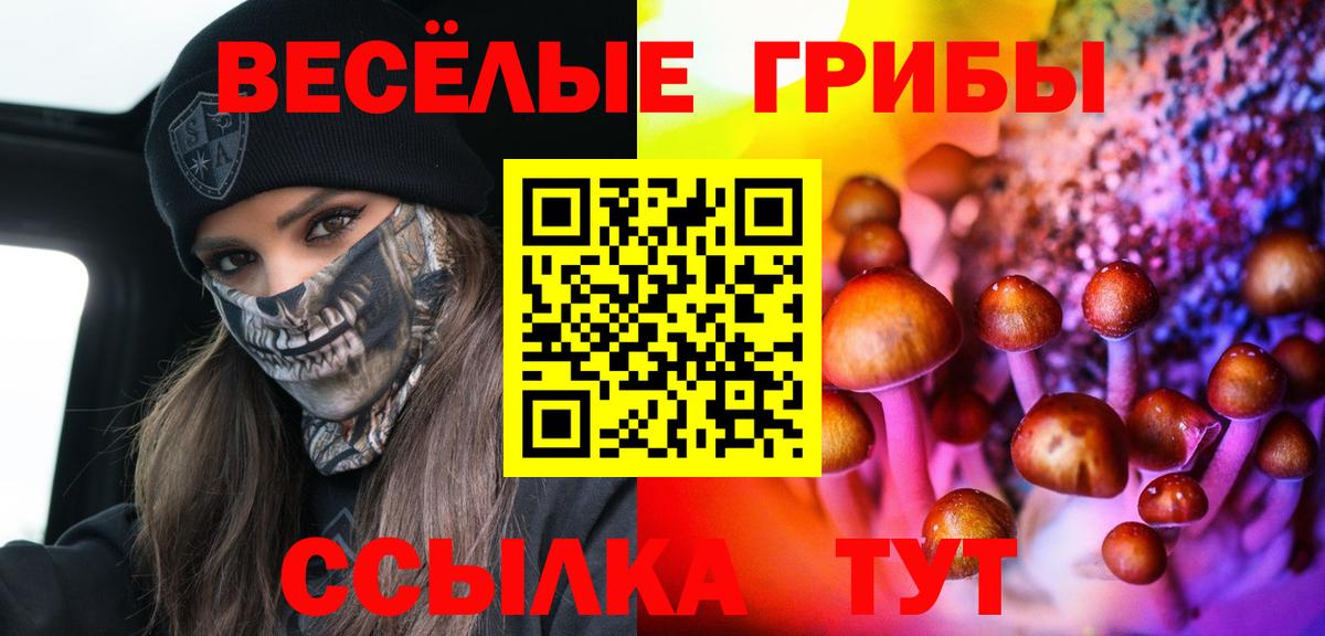 Псилоцибиновые грибы ЛСД  Вход с VPN  Вольск 