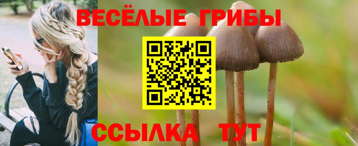 Галлюциногенные грибы Magic Shrooms Вольск